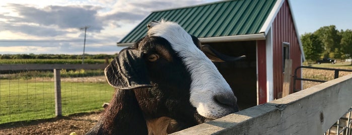 Crooked Creek Dairy Farm is one of Fun Go-to-Spots.