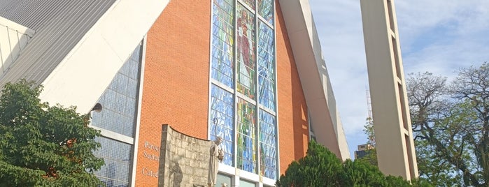 Catedral Metropolitana de Londrina is one of Locais já visitados.