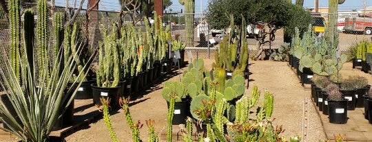 Arizona Cactus Sales is one of США 🇺🇸 (Лас-Вегас и Каньоны).