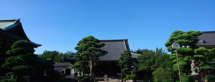 長谷寺專門僧堂 is one of 原宿.