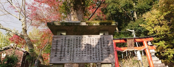 玉津岡神社 is one of 京都の訪問済スポット（マイナー）.