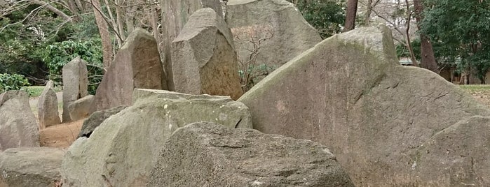 埼玉百年の森 is one of 木・緑地.