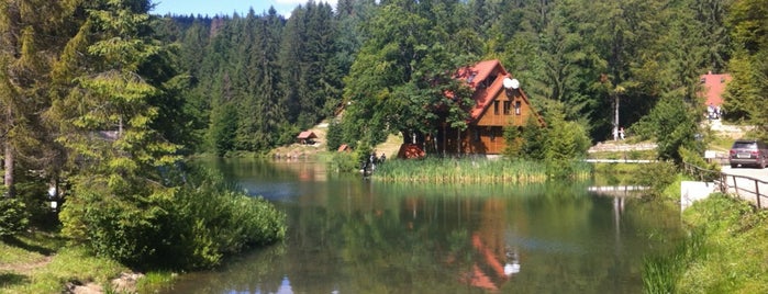 Озеро Вита Карпаты