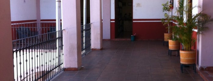 Presidencia Municipal Quiroga is one of สถานที่ที่ David ถูกใจ.