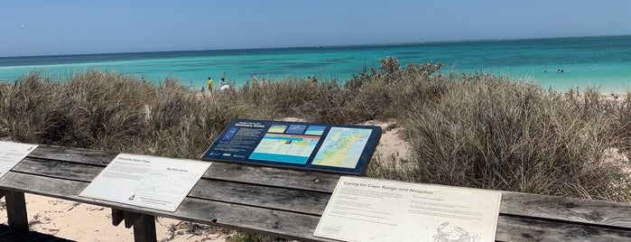 Ningaloo Reef is one of Amelieさんのお気に入りスポット.