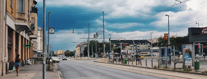 Újpest-Központ M (25, 30, 30A, 12, 14, 14E, 104, 104A, 120, 147, 170, 196, 196A, 204, 220, 270, 914, 914A, 930, 950, 950A, 996,  996A) is one of favourite.