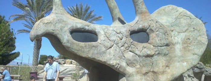 Aliante Nature Discovery Park is one of The 13 Best Playgrounds in Las Vegas.
