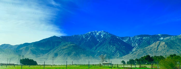 Mt. San Jacinto State Park is one of Palm Springs.