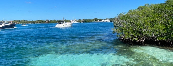 Isla Mujeres is one of Paula 님이 좋아한 장소.