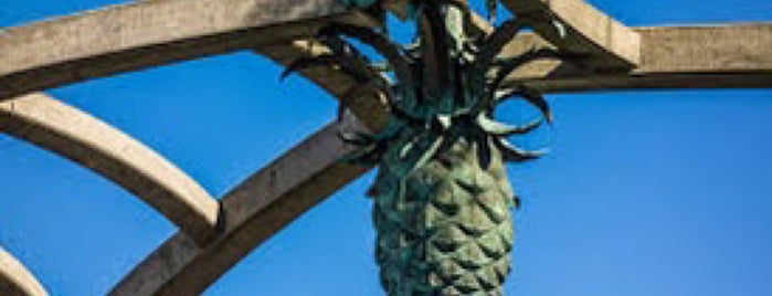Federal Hill Pineapple is one of Newport + Providence.