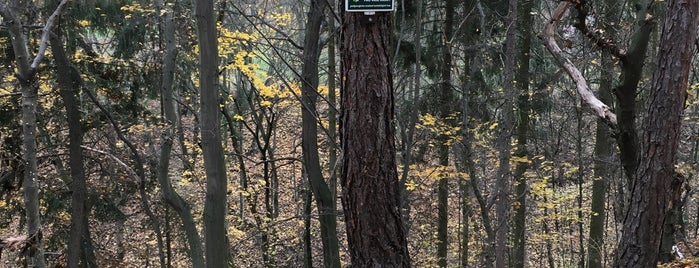 Přírodní památka Housle is one of Tempat yang Disukai Lucie.