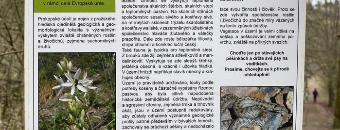 Opatřilka – Červený lom is one of Doly, lomy, jeskyně (CZ).
