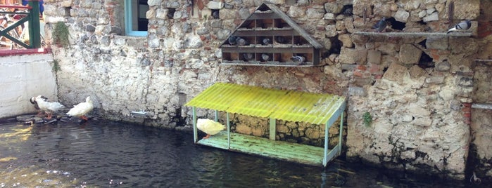 The Duck Pond Restaurant is one of Lugares favoritos de Ulas.