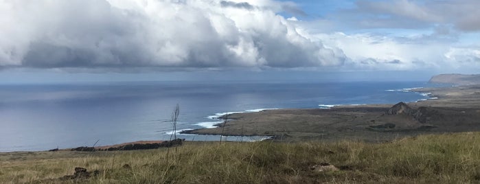 Maunga Puakatiki is one of Lugares favoritos de Rafael.