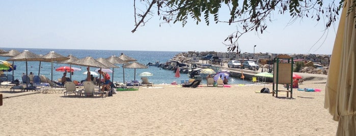 Potos Beach is one of Locais curtidos por Özdemir.