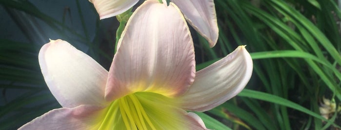 Windy Farm Garden Center is one of Posti che sono piaciuti a Cindy.