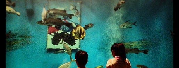 浜名湖体験学習施設 ウォット is one of 水族館（らしきものも含む）.