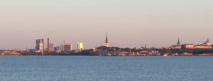 Pikakari Beach is one of Lovely Tallin.