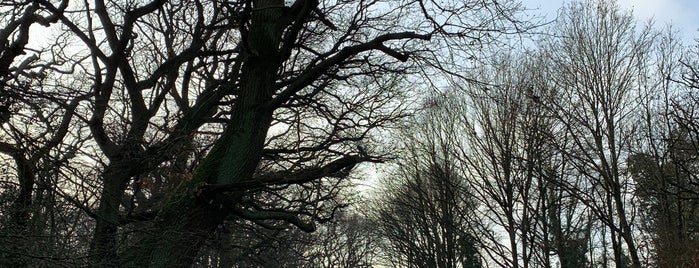 Coldfall Wood is one of Muswell Hill.