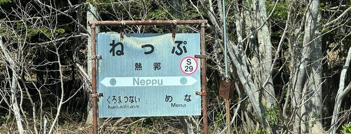 Neppu Station is one of 函館本線.