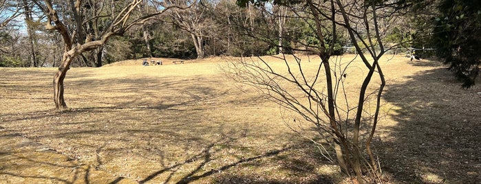 本丸広場 is one of 城・城址・古戦場等（２）.