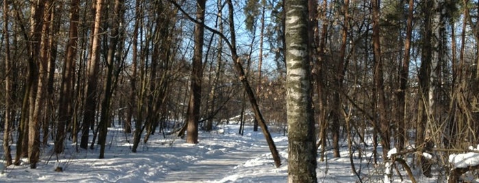 Красковский лес is one of สถานที่ที่ Kato ถูกใจ.