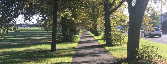 Figges Marsh is one of London Parks.