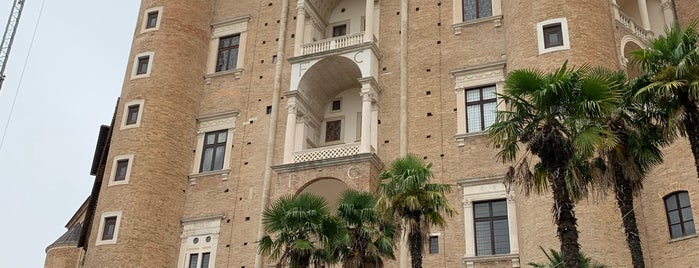 Palazzo Ducale is one of Urbino.