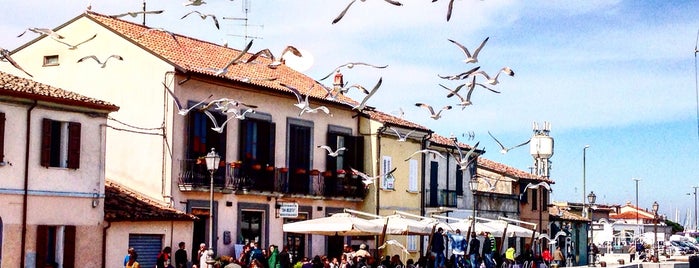 Porto Canale is one of Cesenatico.
