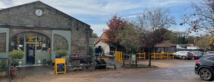 Cowdray Farm Shop & Cafe is one of Chichester.