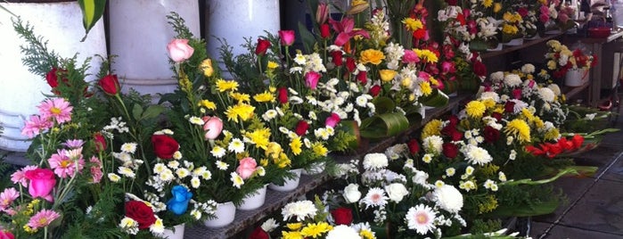 Mercado de Flores is one of Orte, die Juan Antonio gefallen.