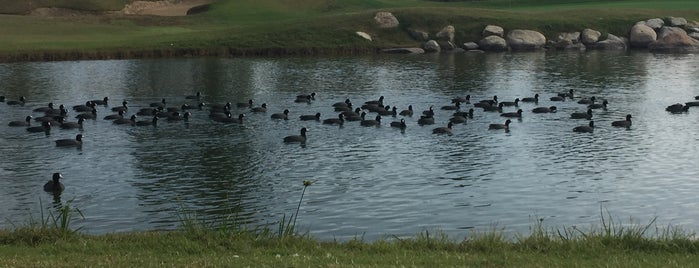 Riverlakes Golf Course is one of Golf courses.