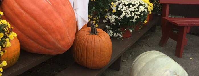 Erie Orchards and Cider Mill is one of Erie.