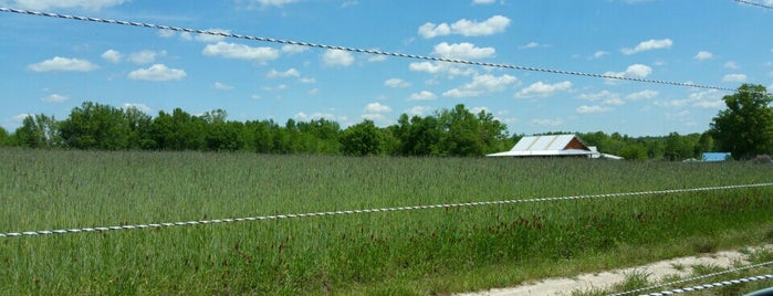 Whitted Bower Farm is one of Fresh Farms.