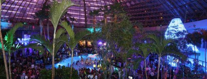 The Pool at Harrah's is one of DO NIGHTLIFE.