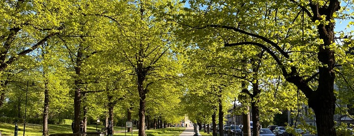 Парк Гризинькалнс is one of Riga.