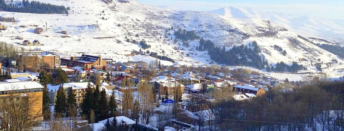 Tsakhkadzor | Ծաղկաձոր is one of Cities in Armenia.