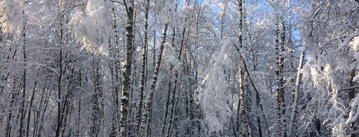 Николо-Урюпинский лес is one of Park / plaza / outdoors.