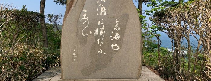 芭蕉句碑「荒海や 佐渡に横たふ 天の川」 is one of RWの道路記念碑訪問記録.