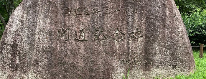 高速道路三千キロ開通記念碑 is one of RWの道路記念碑訪問記録.