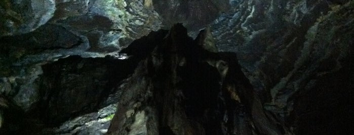 Sudwala Caves is one of Locais curtidos por Andy.
