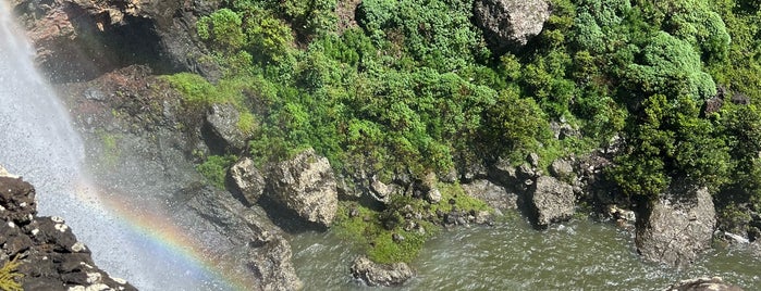 Tamarind Falls is one of Mauritius.