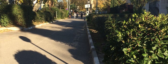 Université de Toulon is one of les lieux où je travaille.