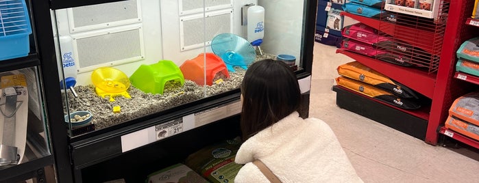 Petco is one of Fido Faves.