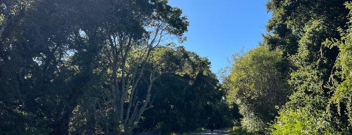 Sawyer Camp Trail is one of California Roadtrip.