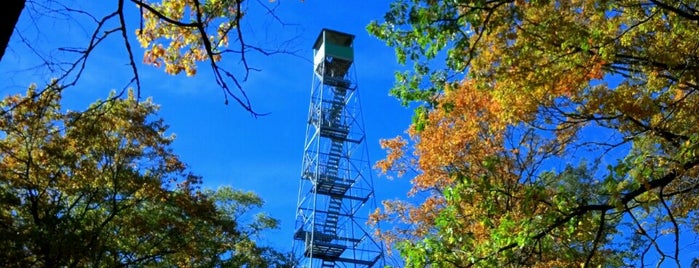 Aiton Heights Fire Tower is one of Tempat yang Disukai LoneStar.
