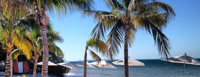 Zama Beach Club is one of Isla mujeres.