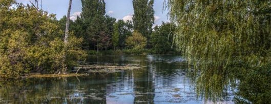 Floridsdorfer Wasserpark is one of Vienna 2016, Places.