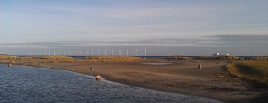 Parque de la Playa Amager is one of Copenhagen by Locals.