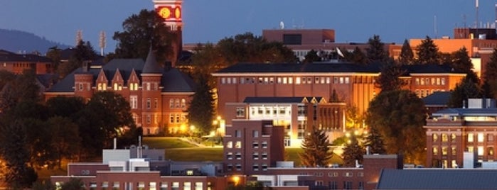 Washington State University is one of NCAA Division I FBS Football Schools.